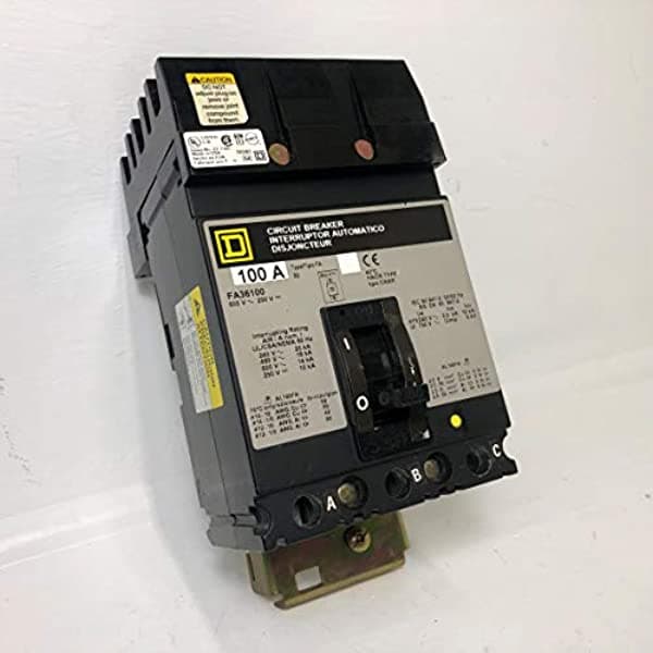 Schneider Electric Molded Case Circuito Disyuntor 600-Volt 100-Amp Fa36100 600 V 100 A