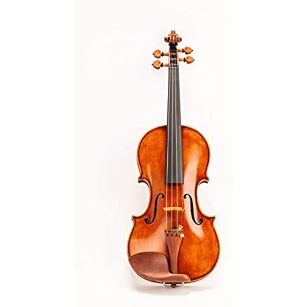 D Z Strad - Viola De 155 Pulgadas Hecha A Mano. Modelo 400. Hecho A Mano Por Luthieres Galardonados