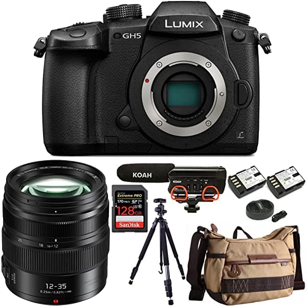 Panasonic Lumix Gh5 4K Cámara Sin Espejo Con Lente De 0.472-1.378 In Tarjeta Sd De 128 Gb Mochila Para Cámara Soporte De Choque Trípode De Aluminio Y Batería Y Paquete De Cargador Doble (7 Artículos) DC-GH5KBODY