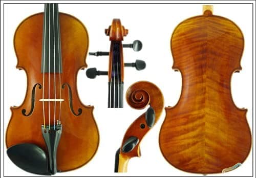D Z Strad Violín Modelo 101 Con Madera Maciza Con Estuche Arco Y Colofonia (4/4 - Tamaño Completo)