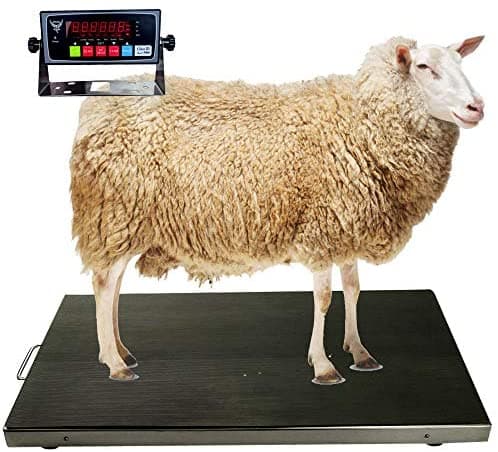 Pec Livestock Animal Scale/Farm Animal Scales Para Weighing Small Medium Sized Animals Lamb Goat Sheep Pigs Hogs Donkey Calf Digital Indicator Included Capacity 700Lbs (42"X 20") PEC-700AS