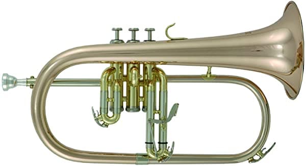 Roy Benson Mod.Fh-302S Bb Chapado En Plata Acabado Latón Dorado Rama Para Fliscorno (Con Luz Caja Rectangular RBFH302G