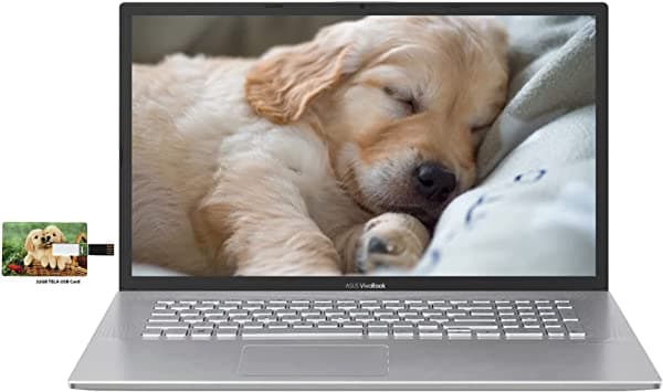 Asus Vivobook 17 Business Laptop17.3 Hd Display 10Th Gen Intel Core I7-1065G7 40Gb Ram 1Tb Ssd Windows 10 Pro | Tarjeta Usb De 32Gb Tela A Pedi