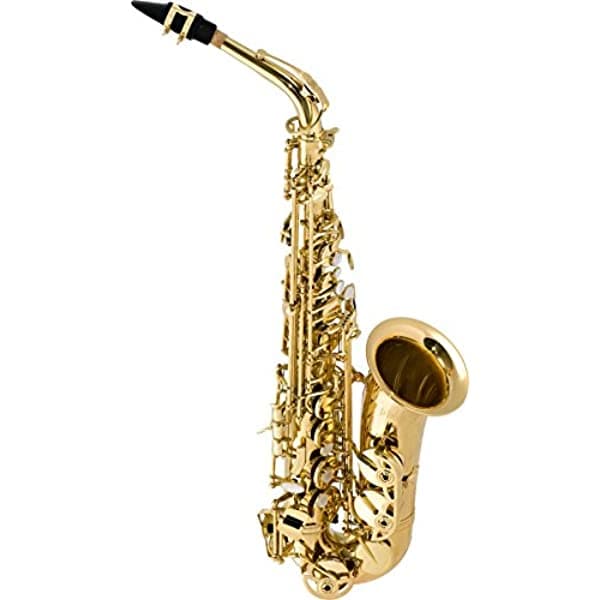 Selmer La Voix II Saxofón Alto Outfit SAS280R