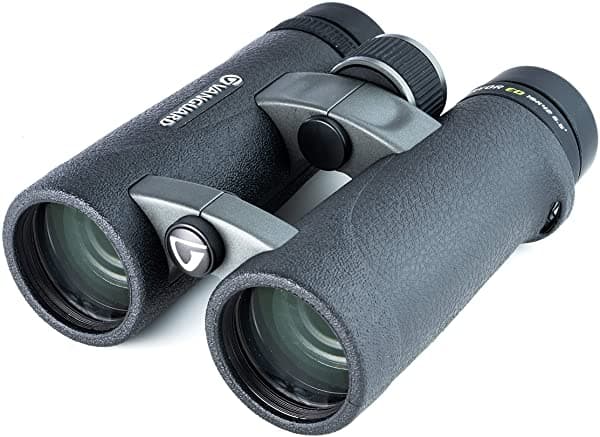 VANGUARD Endeavor ED 10x42 Binocular, Cristal ED, Resistente al Agua/Antiempañante, Negro (ENDEAVOR ED 1042)