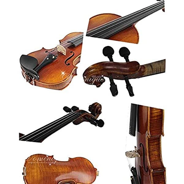 D Z Strad Violín Lc101 Con Funda Reposamuñecas Arco Y Colofonia
