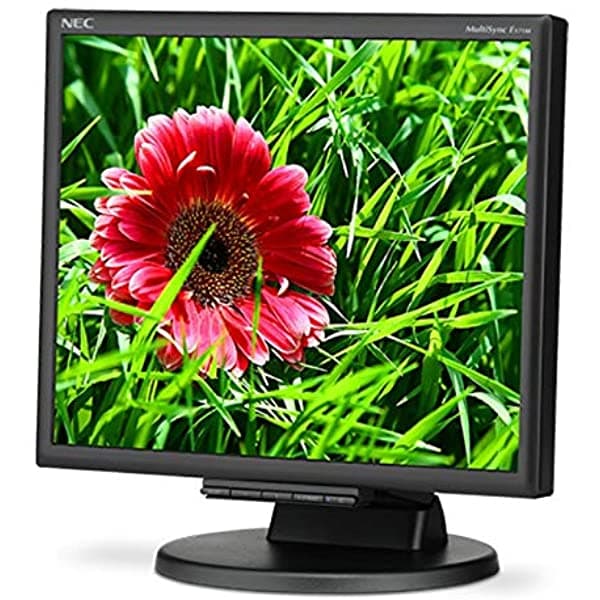 NEC MultiSync E171M-BK 17 Pulgadas 1000:1 5 ms VGA/DVI LED LCD Monitor Con Parlantes (Negro) (NEC E171M-BK)