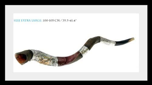 shofars for sale Shofar Yemenita de Cuerno de Kudu Plateado de 41" a 39" Increíble Cristiano Evangélico Judaica Más Bolsa