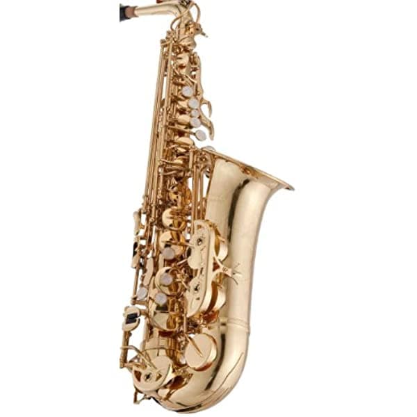 Rs Berkeley Usa54 Serie Universitaria Alto Saxophon Case Y Accesorios