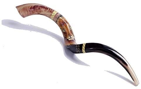 Extra Grande 40-42 Pintura Kudu Shofar León De Israel + Fondos De Shofarot Israel