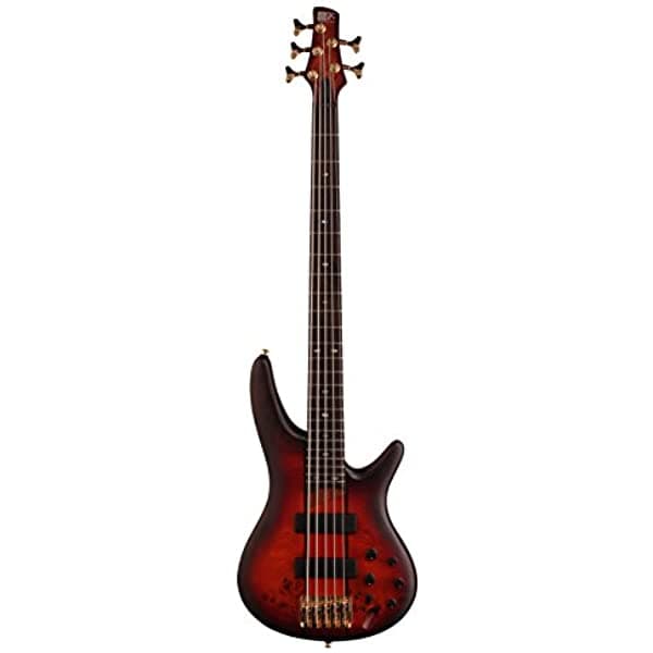 Ibanez Sr805 5-Cuerdas Bajo Eléctrico Natural SR805AWT