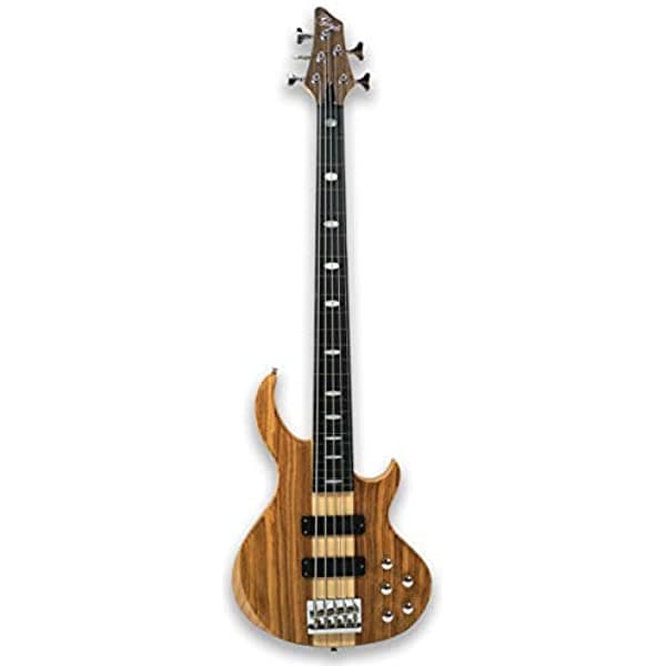Gstyle Fretless - Guitarra Eléctrica De 5 Cuerdas Para Bajo Millettia Laurentii + Okoume KB5F-200C-Gold