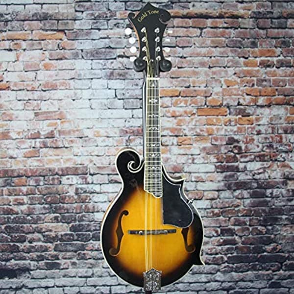 Gold Tone GM-35 Mandolina estilo F de alta calidad para músicos profesionales y aficionados.