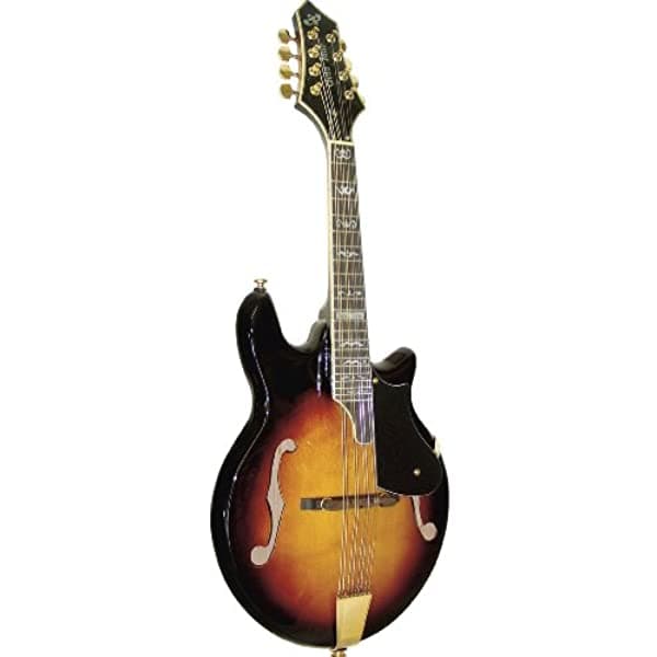 Gold Tone Rigel Gm-110 Mandolin Spurce