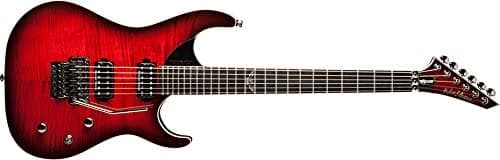 Washburn 6 Cuerdas Parallaxe Dbl Cut S.E.C. Perno Sobre Pxs10Frdlxwb