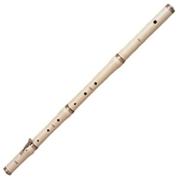 Rhythm Band Instrumumentos Af3H Stanes Por Jr Flute-Hard Case