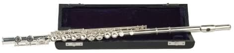 Palatino Wi-806-Fs C Flute Case 16 Claves