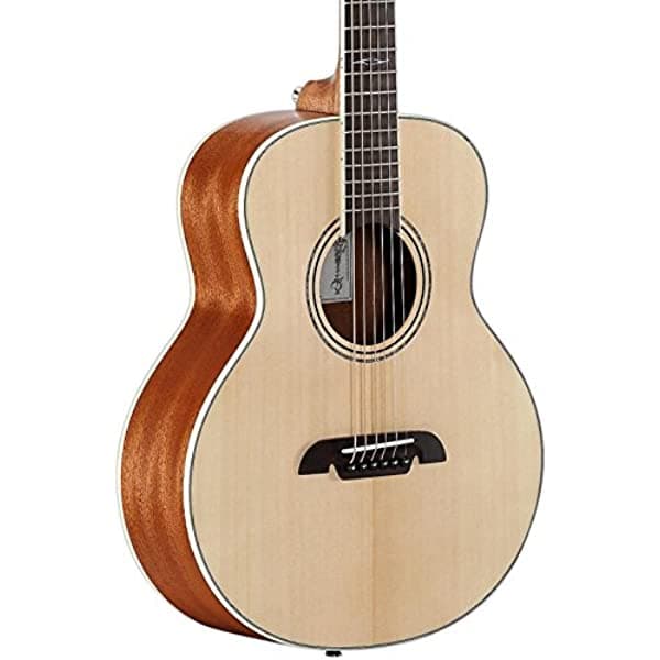 Alvarez Lj2 Little Jumbo Travel Guitarra Deluxe Fondo