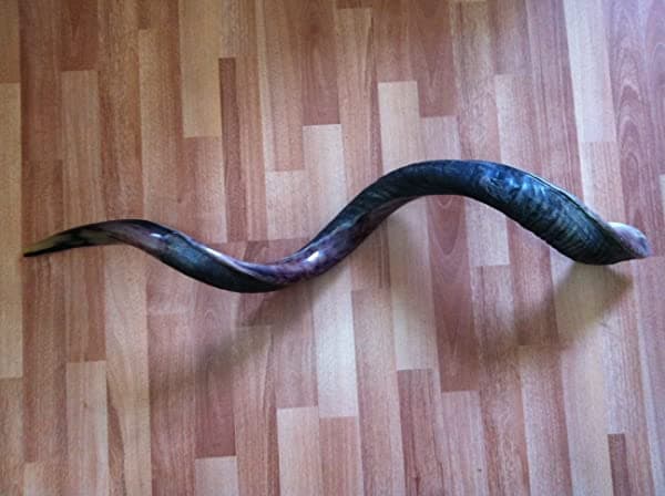 49" Alta Calidad Yemenite Shofar Kosher & Half Natural Y La Mitad Polaco + Última Intervensión Bolsa