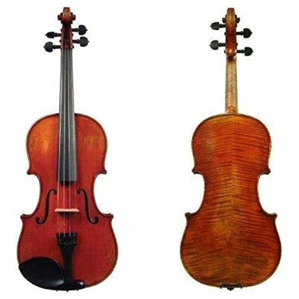 D Z Strad Modelo 365 Violín Tamaño Completo 4/4 con Tono Claro y Abierto con Cuerdas Dominant, Estuche, Arco, Colofonia y Soporte para Hombro.