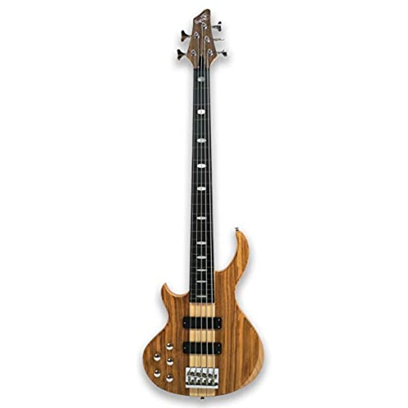 YINGE Guitarra Eléctrica De Bajo Con 5 Cuerdas Sin Trastes Para Zurdos B05L-S7E