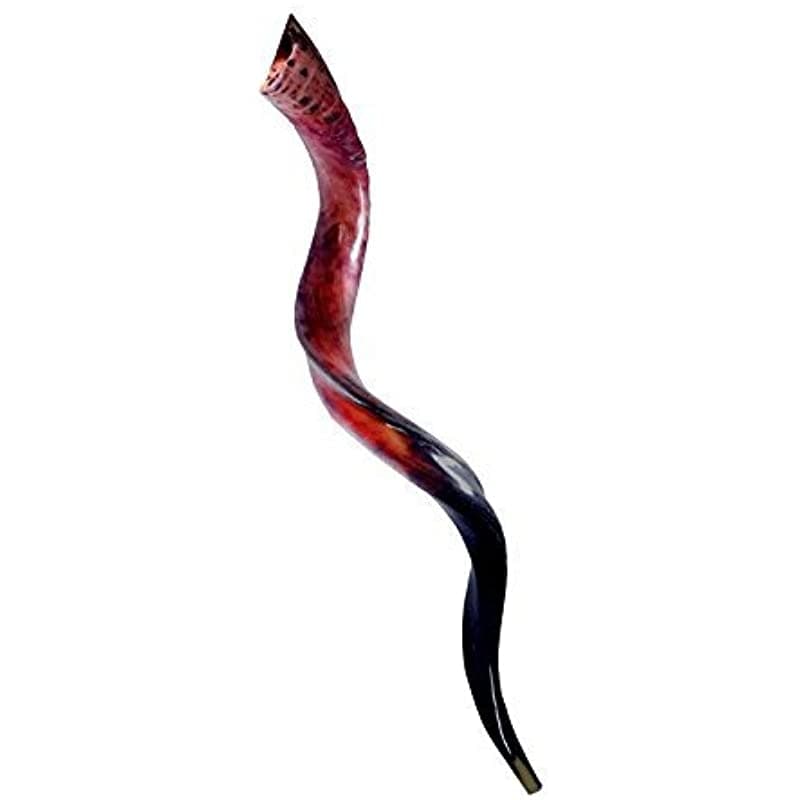 Israel Shofars Approx Great XXL Shofar Cuerno de Kudu 43-46" Pulido Completo Sonido Hermoso (Un Paquete) (Israel Shofars)