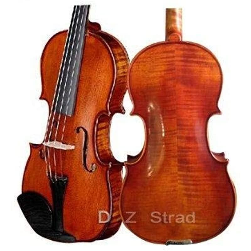 D Z Strad Viola Modelo 101 Cuerdas Case Bow Shoulder Y Rosin 13 Tamaño