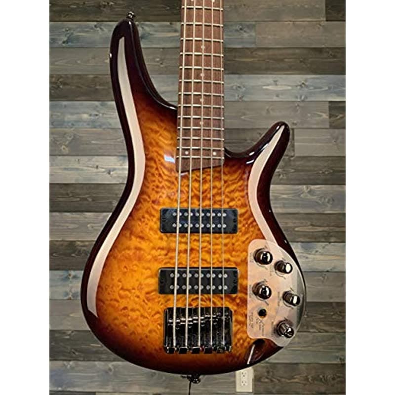 Ibanez Sr405Eqm Acolchado Maple 5-Cuerdas Bajo Eléctrico Dragon Eye Burst SR405EQMDEB