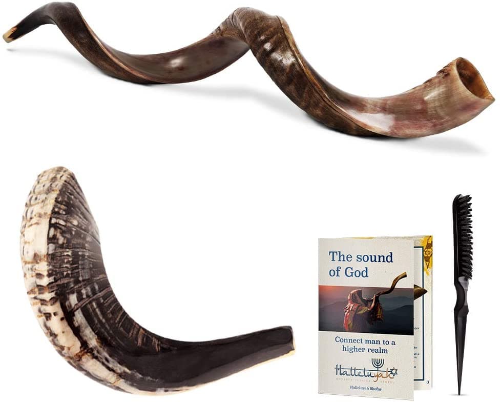 HalleluYAH Aleluyah Shofar De Israel-Medio Pulido 43-45 Kudu Horn Shofar Free Bunos Ram Horn-Curvado Auténtico Hecho En Israel