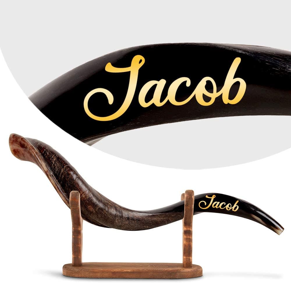 HalleluYAH Aleluyah Shofar Personalizado De Israel - Cuerno Kudu Curvo Auténtico Y Inodoro - Instrumento Musical Antiguo Tradicional Nombre Inscrito Hecho En Israel Bonus Bono Shofar Horn Stand Y More