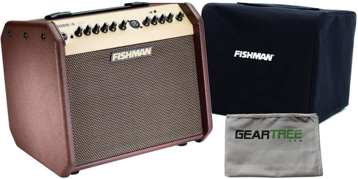 Fishman Pro-Lbt-500 Loudbox Mini - Guitarra Acústica Con Bluetooth (Con Cubierta Deslizante)