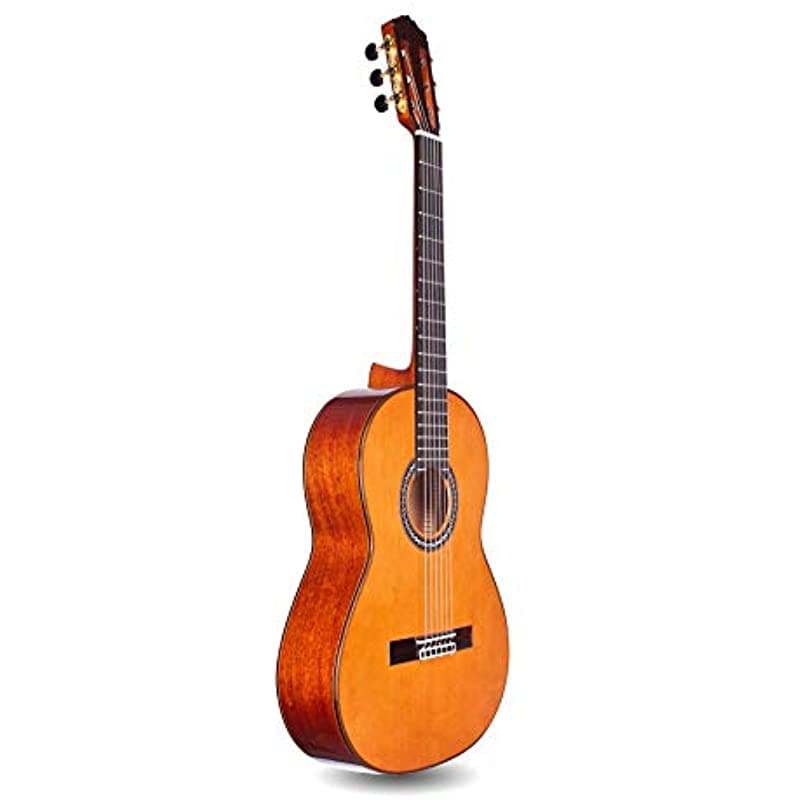 Cordoba Guitars Córdoba C9 Parlo Small Body Classical Acústica Nylon Cuerdas Guitarra Luthier Serie Polyfoam Case GUCLCOR-05274