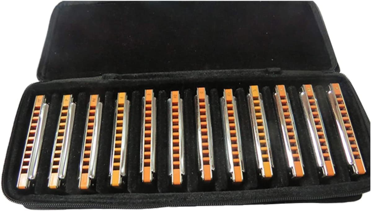 East top Advanced Diatonic Blues Harmonica set of 12, Juego de 12 Armónicas Diatónicas de 10 Agujeros para el Blues, Organetas de Boca en 12 Tonos del Modelo T008S para Adultos, Profesionales y Estudiantes.