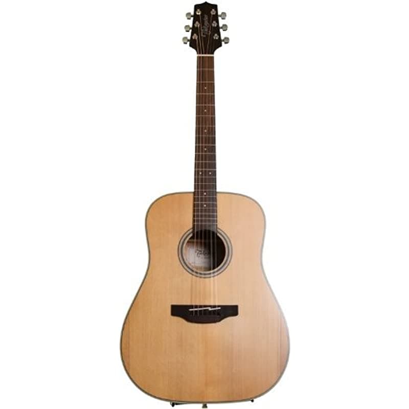 Takamine 6 Cuerdas Guitarra Acústica Gd20-Ns Natural