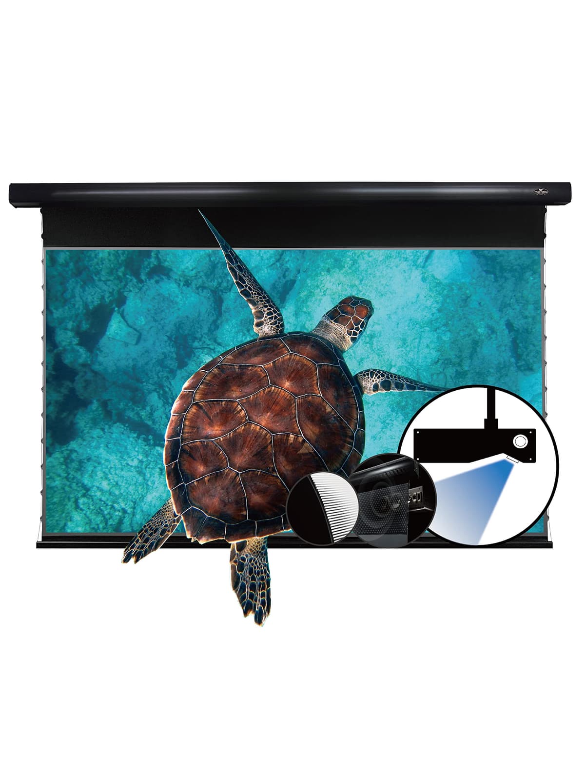 VIVID STORM SINCE 2004 VIVIDSTORM VBMSLUST120HPA - Pantalla ALR UST Motorizada con Tensión, Enrollable y Acústicamente Transparente, 16:9 para Cine en Casa, Compatible con Proyector Láser UST