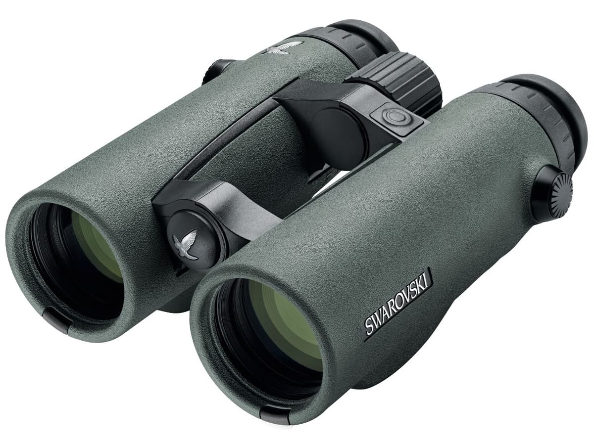 Swarovski EL Range 8x42 Binoculares con Telémetro Láser - aumento 8x, objetivo 42 mm, medición de distancia, alta precisión, caza y observación de fauna LYSB00UCI1OIW-ELECTRNCS