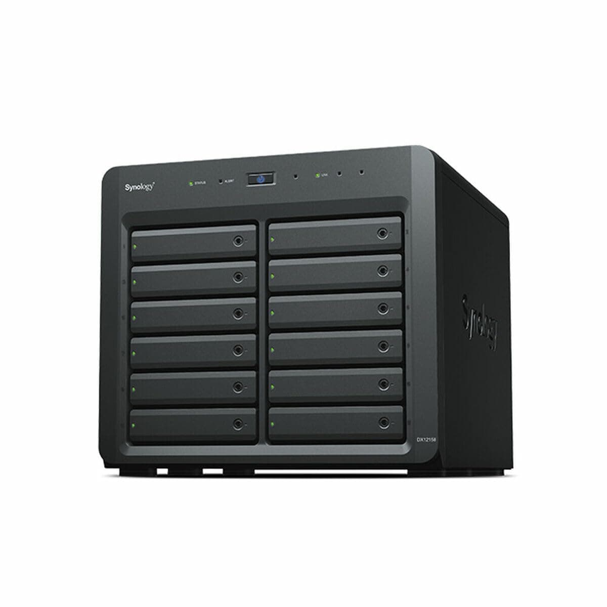 Synology DX1215II Unidad de Expansión NAS 12 Bahías SATA 3.5/2.5 Hot-Swap para Servidores Synology Escalable y Alta Capacidad