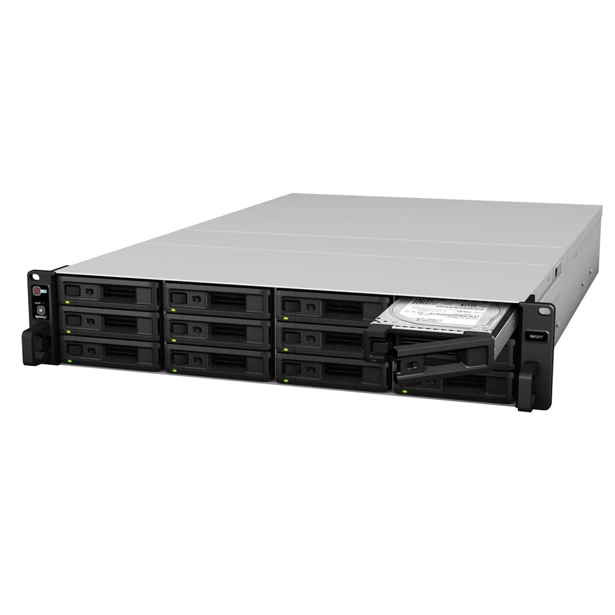 Synology RX1217 Unidad de Expansión 12-bahías 2U, rack, 50-60Hz monofásica, para servidores NAS Z661002