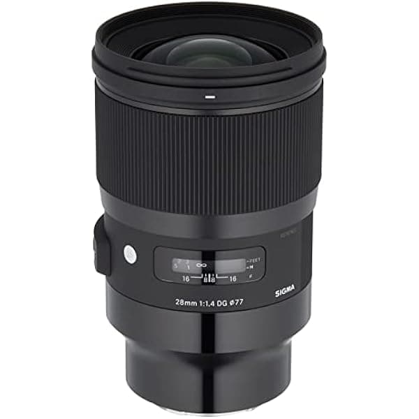 Sigma F1.4 DG HSM - Lente para Sony E (1.102 in) 441965