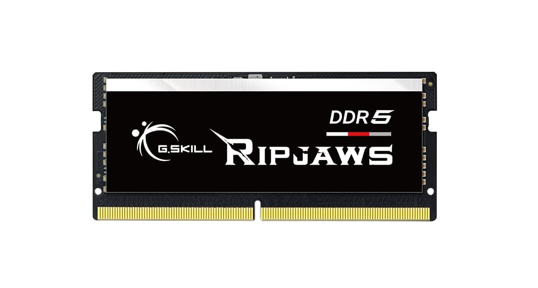 G.SKILL Ripjaws DDR5 SO-DIMM Series RAM DDR5 32GB (1x32GB) 4800MT/s CL40-39-39-76 1.10V Unbuffered Non-ECC Memoria para Notebook/Laptop SO-DIMM (F5-4800S4039A32GA1-RS)