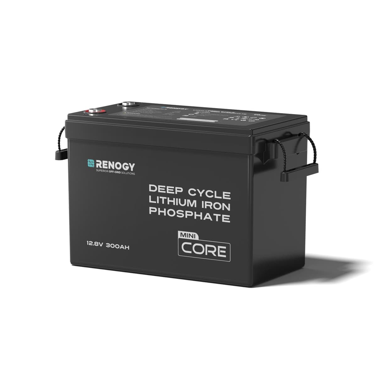 Renogy 12V 300Ah Mini LiFePO4, 200A BMS, Core Series RBG12300LFP-M-US-S