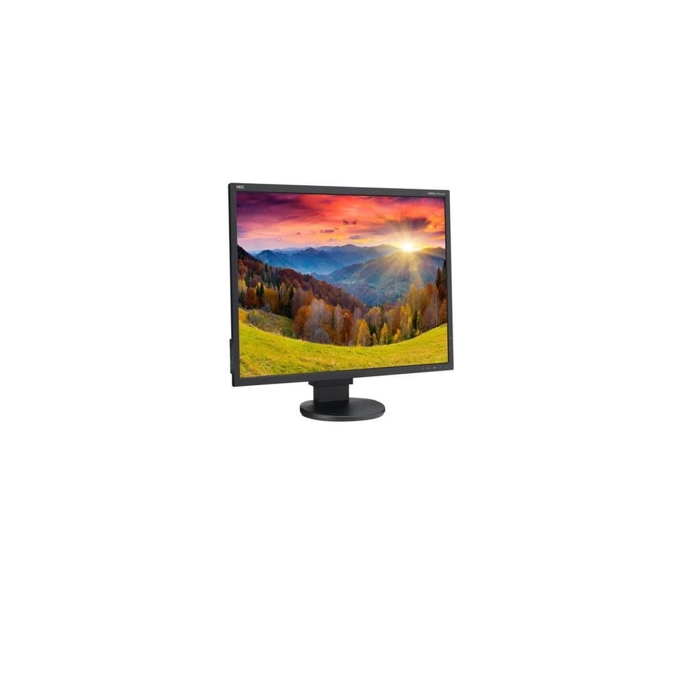 NEC MultiSync EA244WMI-BK Monitor de 24 pulgadas con pantalla LED iluminada