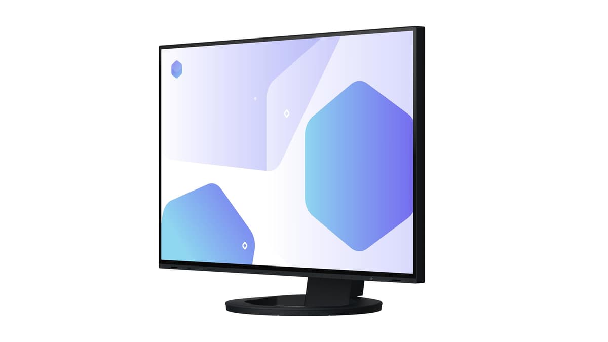 Monitor Eizo EV2495-BK 24.1" WUXGA (1920x1200) IPS con USB-C, DisplayPort y HDMI