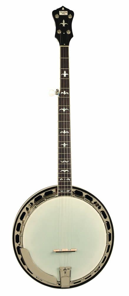 Recording King RK-R36-BR Madison Tone Ring Banjo, Resonador en Caoba