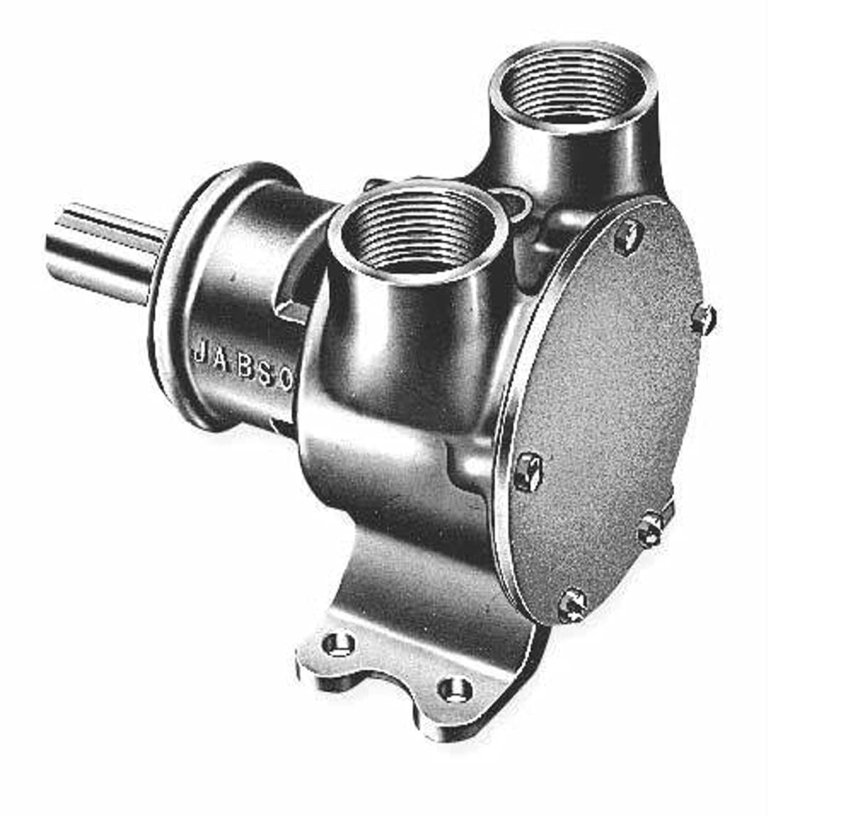 Jabsco 7420-1001 Bomba marina de impulsor flexible montada en pedestal (Bronce)