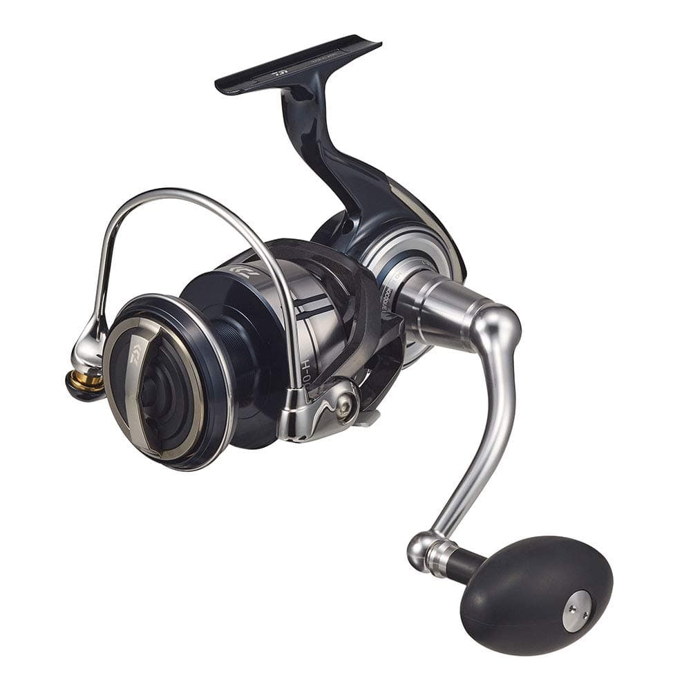 Daiwa 21 Certate SW 8000-H 00065013