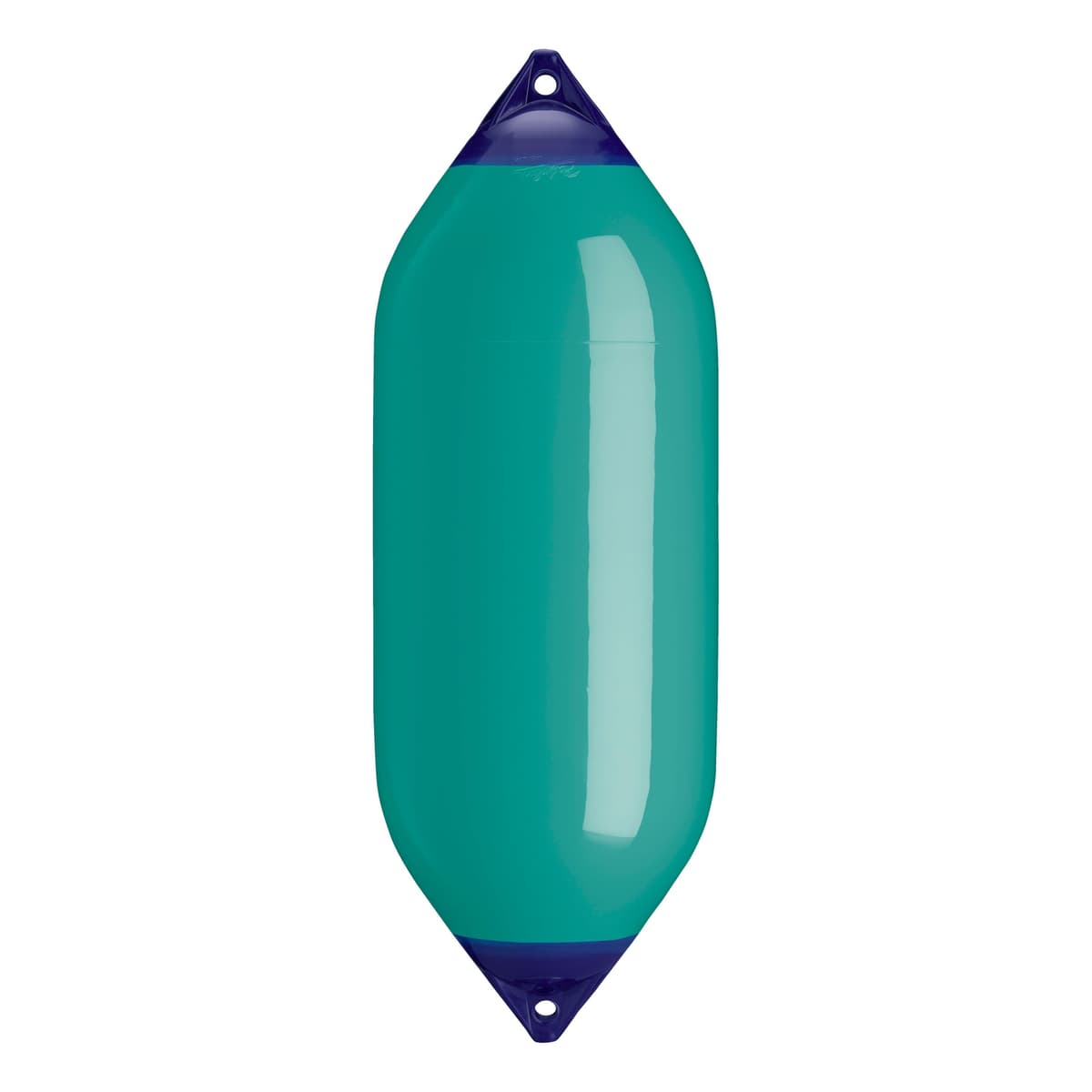 Polyform F-Series F-10 Fender náutico estándar con ojo de cuerda - Teal 78726511