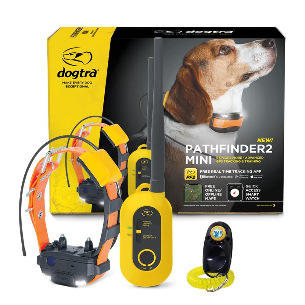 Dogtra Pathfinder 2 Mini - Collar de Entrenamiento GPS para Perros de Caza AA