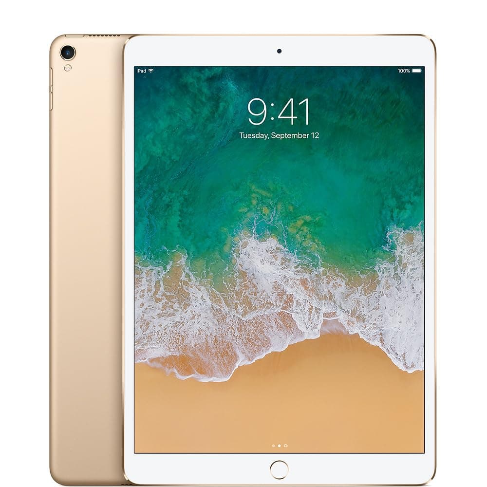 Apple iPad Pro 10.5 pulg. (2017) 256 GB, Wi-Fi - Dorado (Reacondicionado) APIPPRO105256GBGLD-R