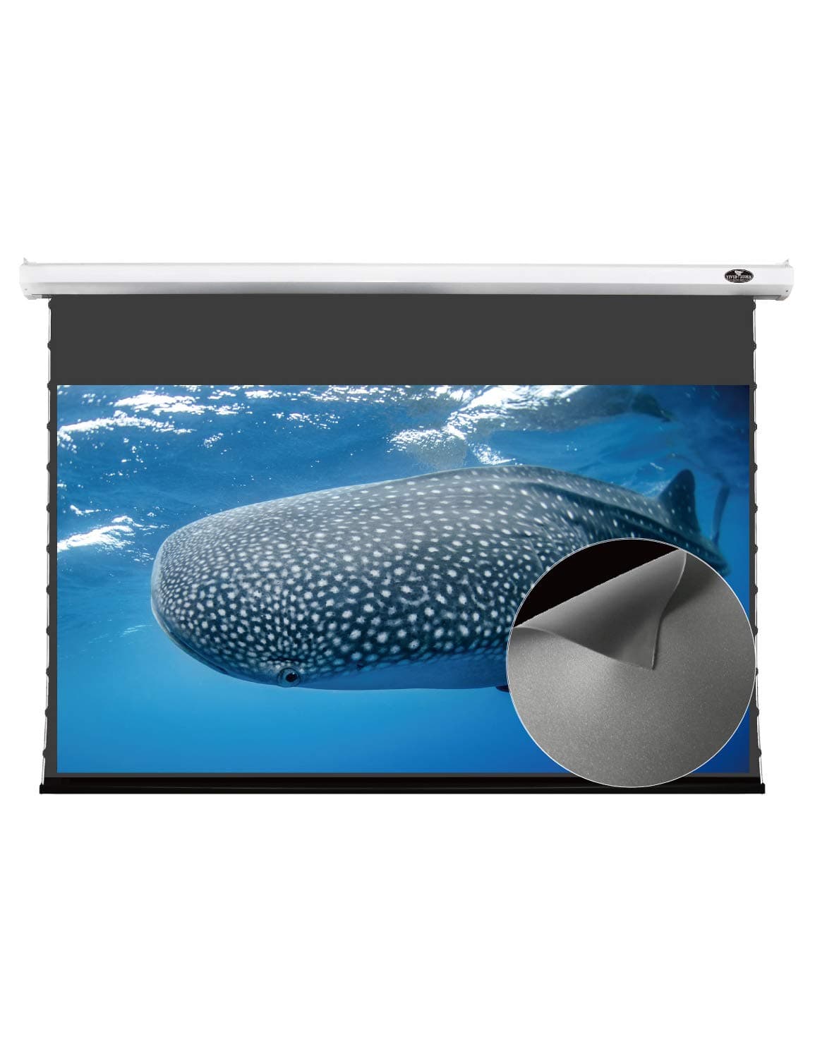 Vivid Storm Pantalla Motorized ALR Obsidian 120" V6JLALR120H